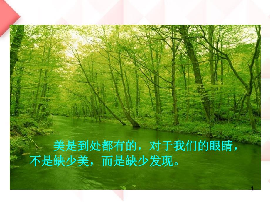 北师大版三年级语文一只小鸟ppt课件.ppt_第1页