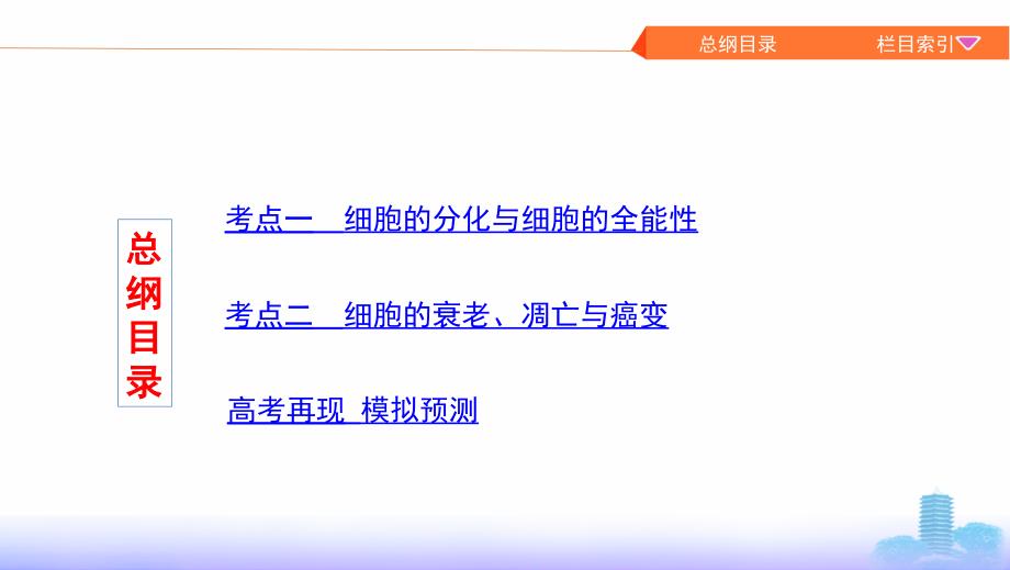 高考生物（课标）大一轮复习新攻略课件：第12讲 细胞的分化、衰老、凋亡与癌变_第3页