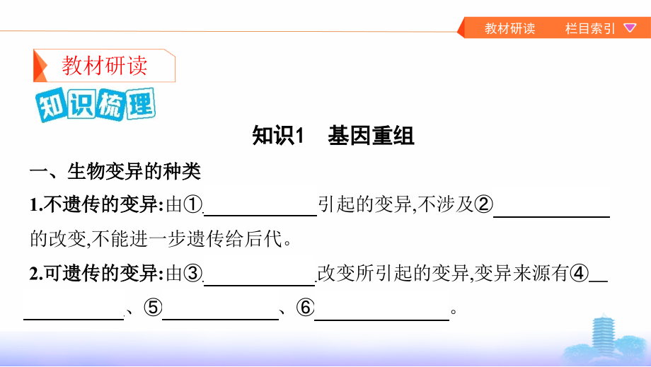 高考浙江选考生物一轮课件：第18讲　变异的来源_第4页