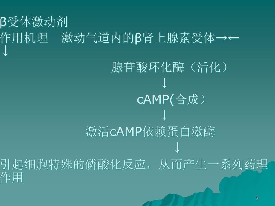 呼吸系统疾病的常用药ppt课件.ppt_第5页