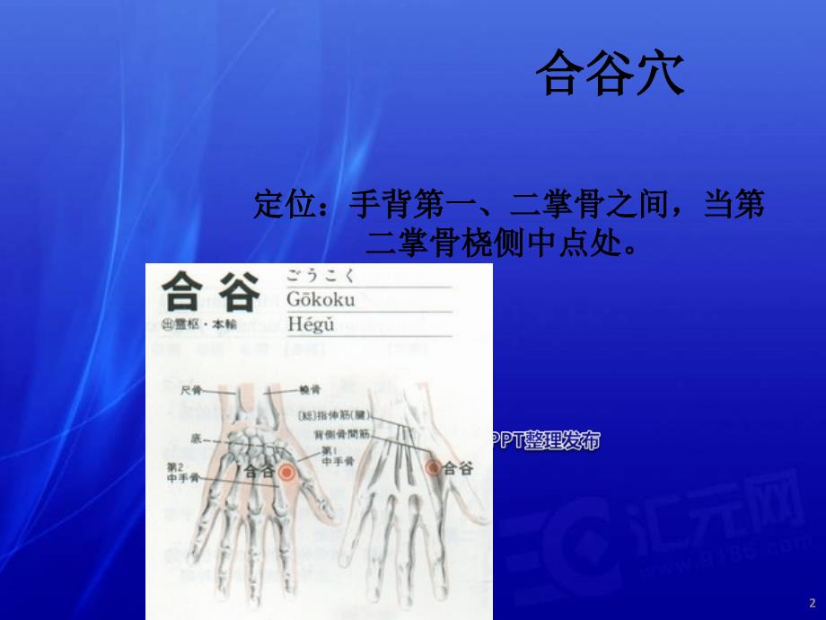 合谷穴的临床应用ppt课件.ppt_第2页