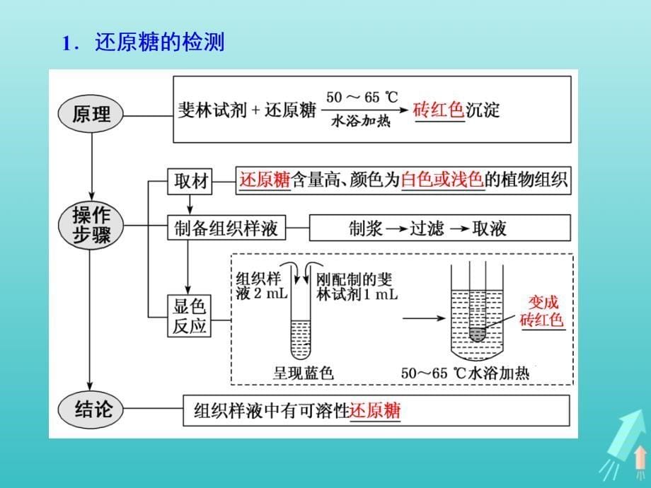 通用版高考生物一轮复习第一单元第三讲检测生物组织中的糖类脂肪和蛋白质实验课课件_第5页