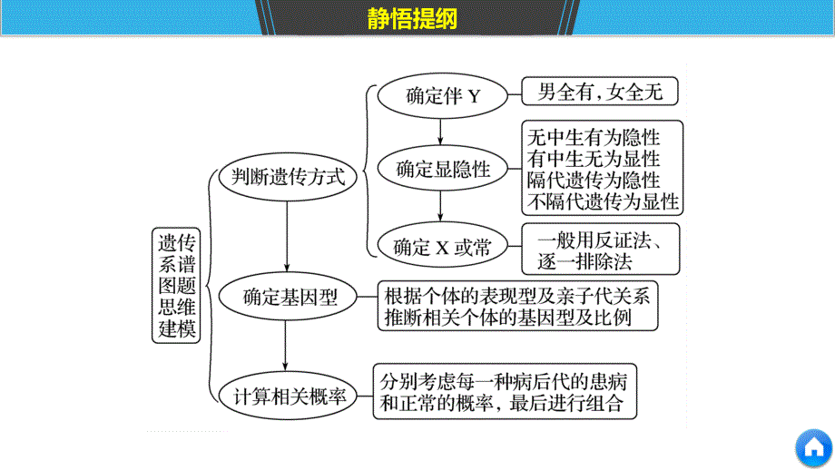 高考生物全国通用精准提分二轮课件：专题五 基因的传递规律 考点16_第3页