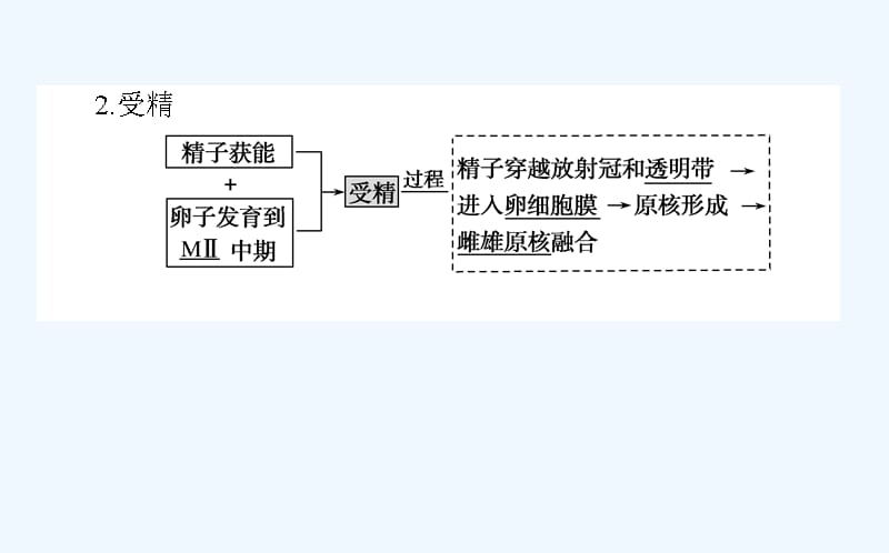 高考生物人教新金典大一轮课件：课前自主预习案.选3.3胚胎工程_第3页