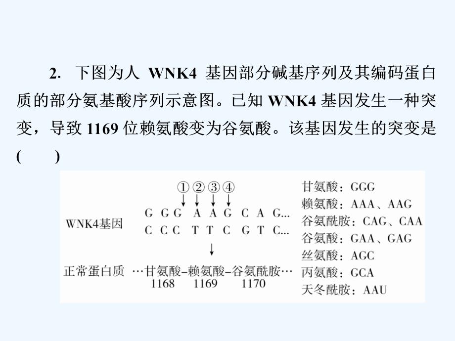 高考生物高分计划一轮课件：第21讲　基因突变和基因重组 21a_第4页
