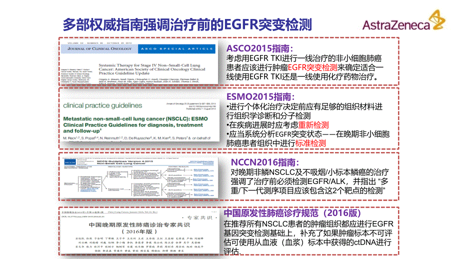 非小细胞肺癌EGFR基因突变检测.ppt_第4页