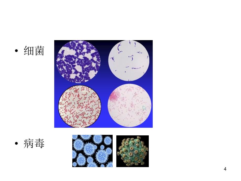 家长进课堂ppt课件 (3).ppt_第4页