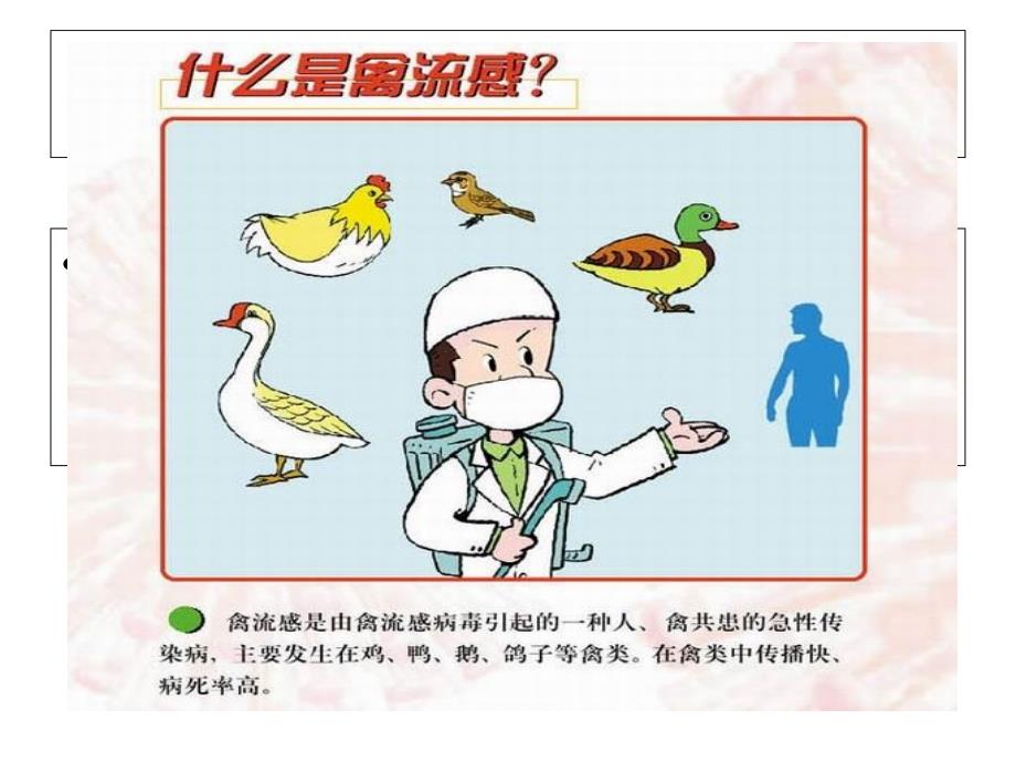 H7N9禽流感的防治课件_第3页