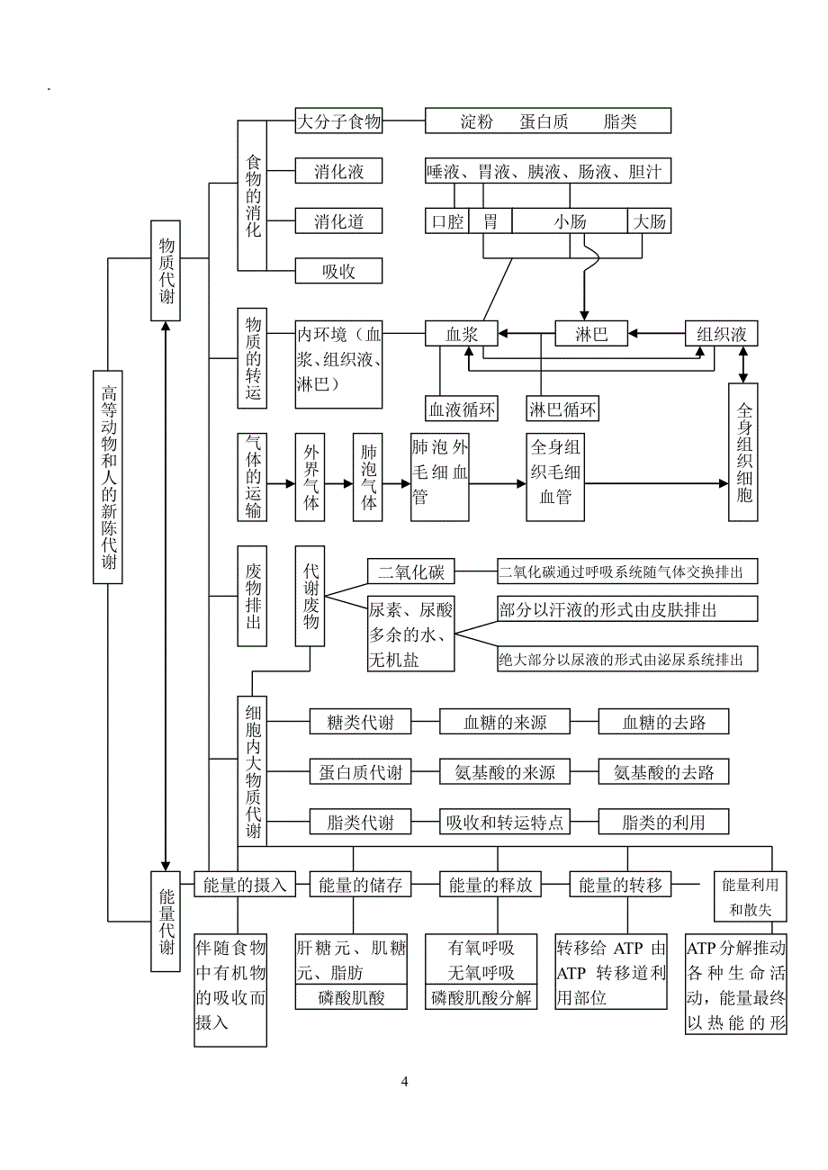 生物必修＋选修知识点总结笔记PDF_第4页