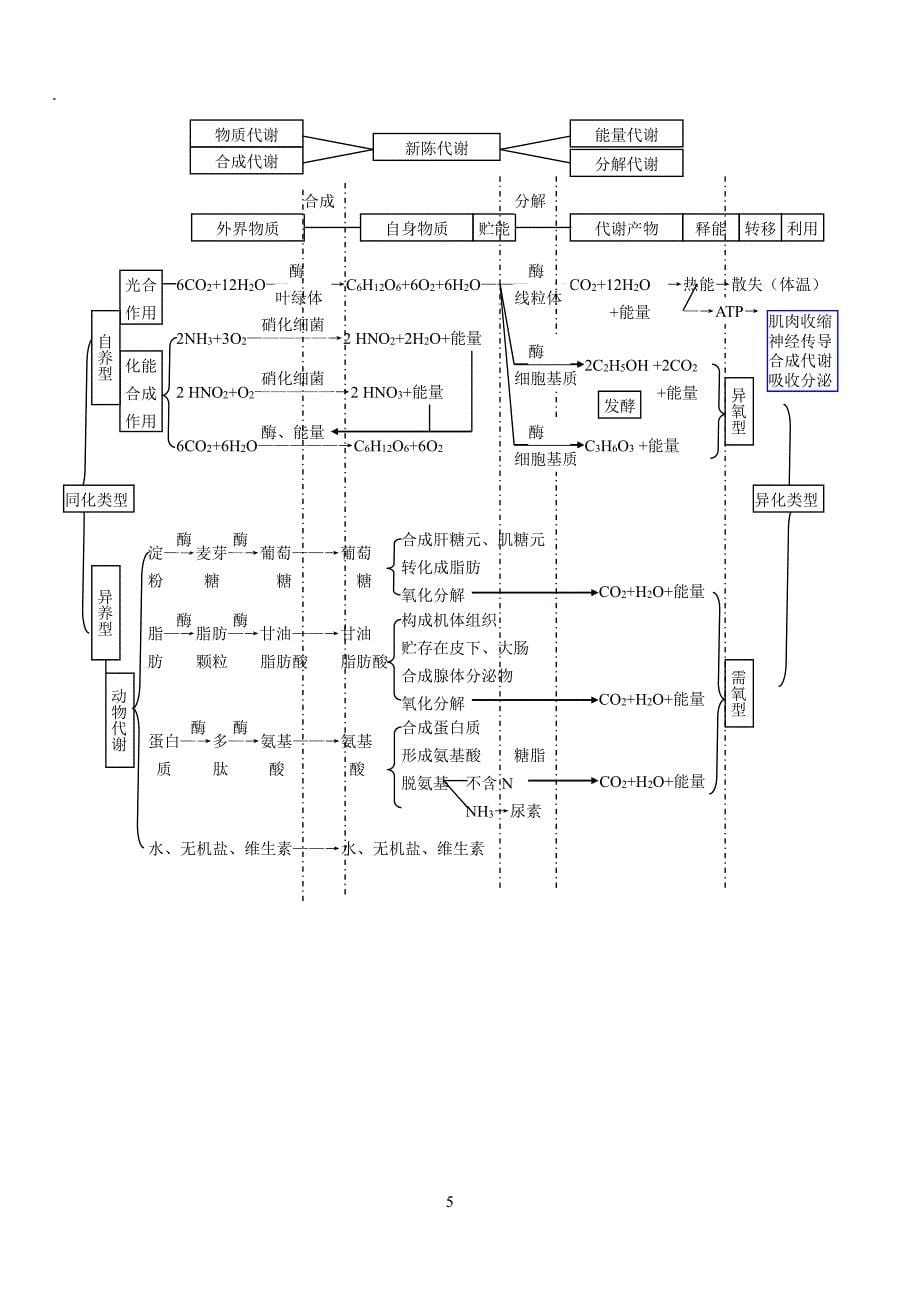 生物必修＋选修知识点总结笔记PDF_第5页