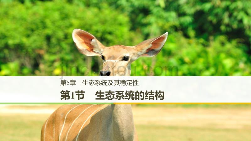 步步高人教版生物必修三课件：5.1 生态系统的结构（步步高）_第1页