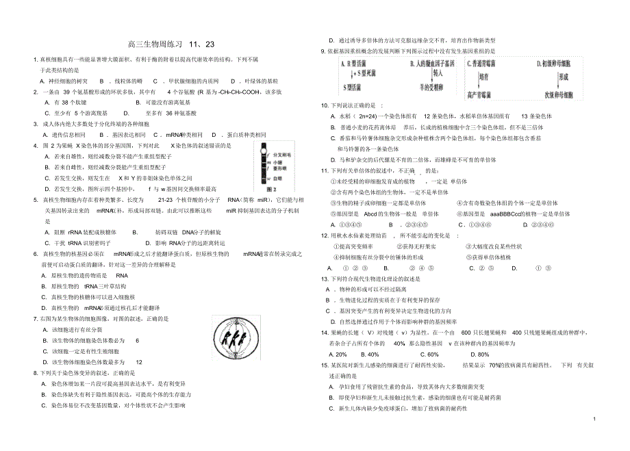 山东省牟平第一中学高三政治一轮复习周练习3.pdf_第1页