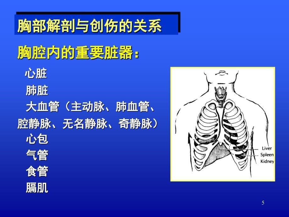 胸外伤PPT幻灯片.ppt_第5页