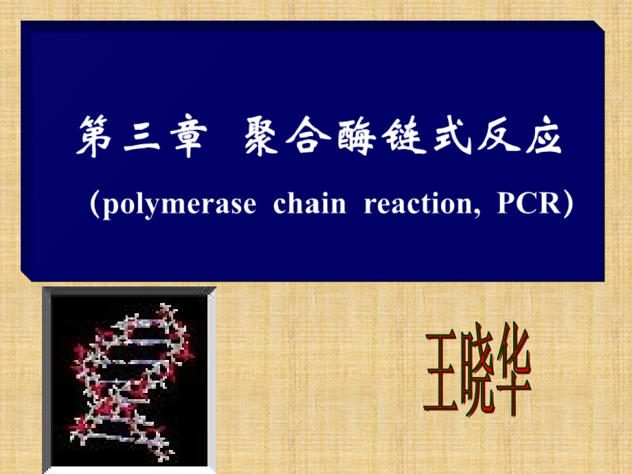 精编制作聚合酶链式反应-2014PPT课件_第1页