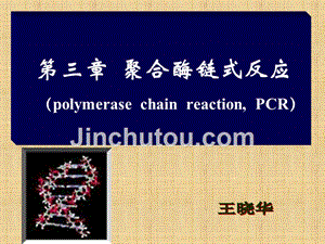精编制作聚合酶链式反应-2014PPT课件