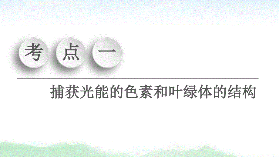 2021高三生物人教版一轮复习课件：必修1 第3单元 第3讲　光合作用（Ⅰ）_第3页