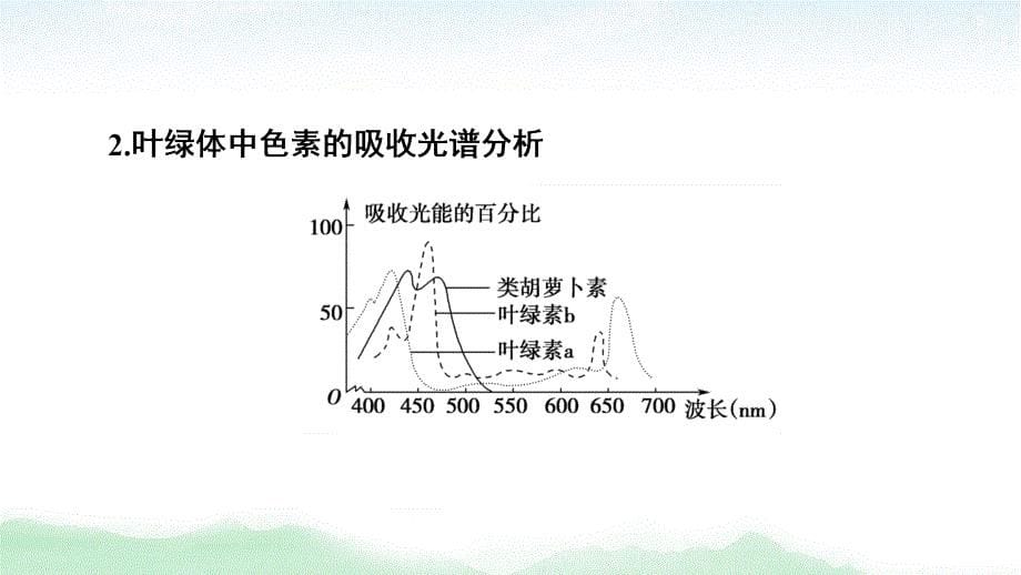 2021高三生物人教版一轮复习课件：必修1 第3单元 第3讲　光合作用（Ⅰ）_第5页