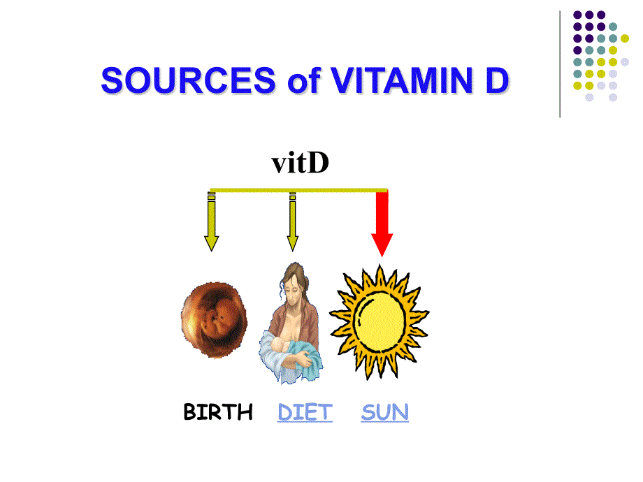 医学课件-VitD的营养_第4页