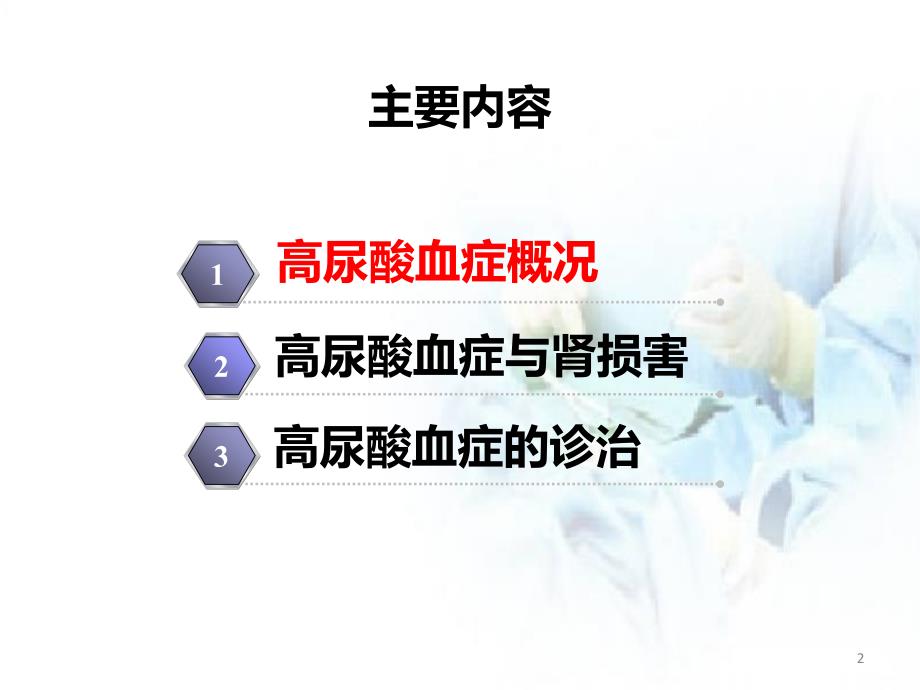 （推荐精选）高尿酸血症的治疗.ppt_第2页