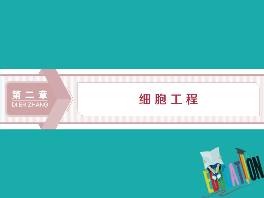 高中生物第二章细胞工程第一节细胞工程概述课件苏教版选修3_第1页