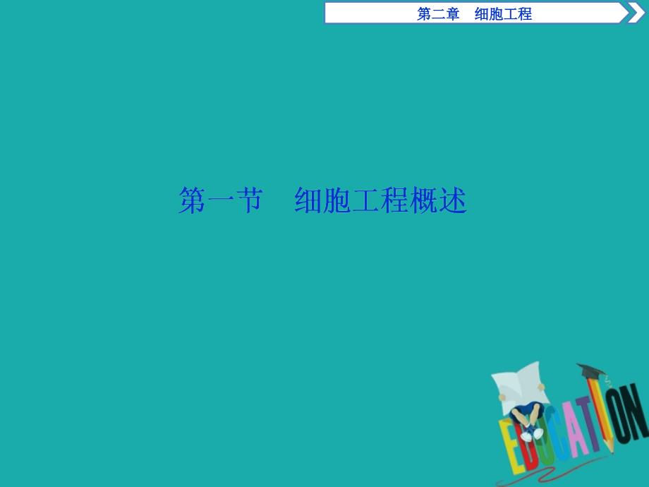 高中生物第二章细胞工程第一节细胞工程概述课件苏教版选修3_第2页