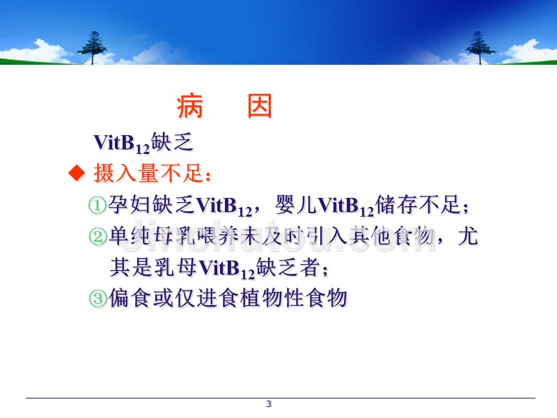 （推荐精选）营养性巨细胞性贫血.ppt_第3页