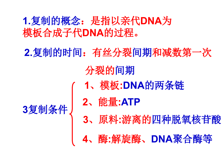 DNA的复制和基因的表达_第3页