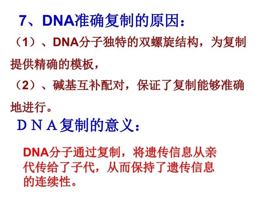 DNA的复制和基因的表达_第5页