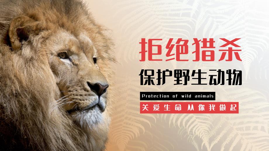 保护自然野生动物宣传公益模板_第1页