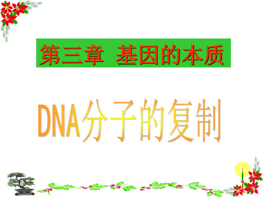 DNA分子的复制动画_第1页