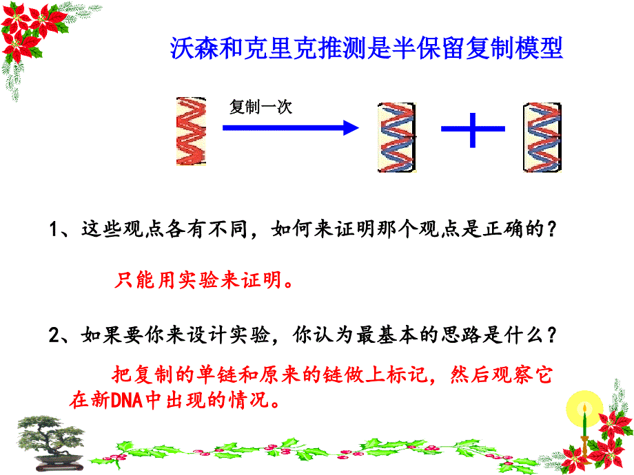 DNA分子的复制动画_第3页