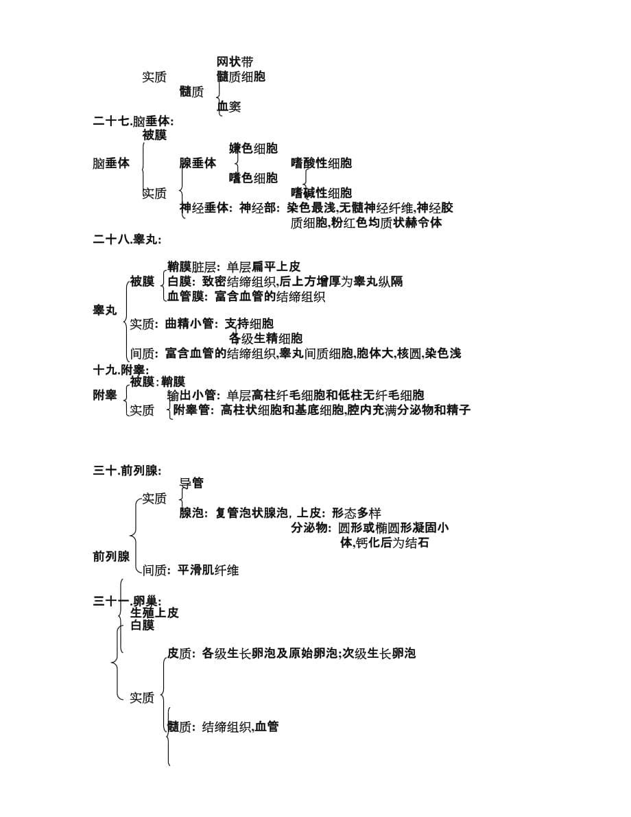 （组织设计）组织学切片结构_第5页