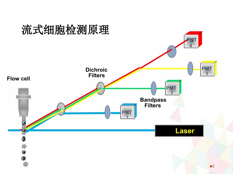 （推荐精选）流式细胞术报告单解读.ppt_第3页