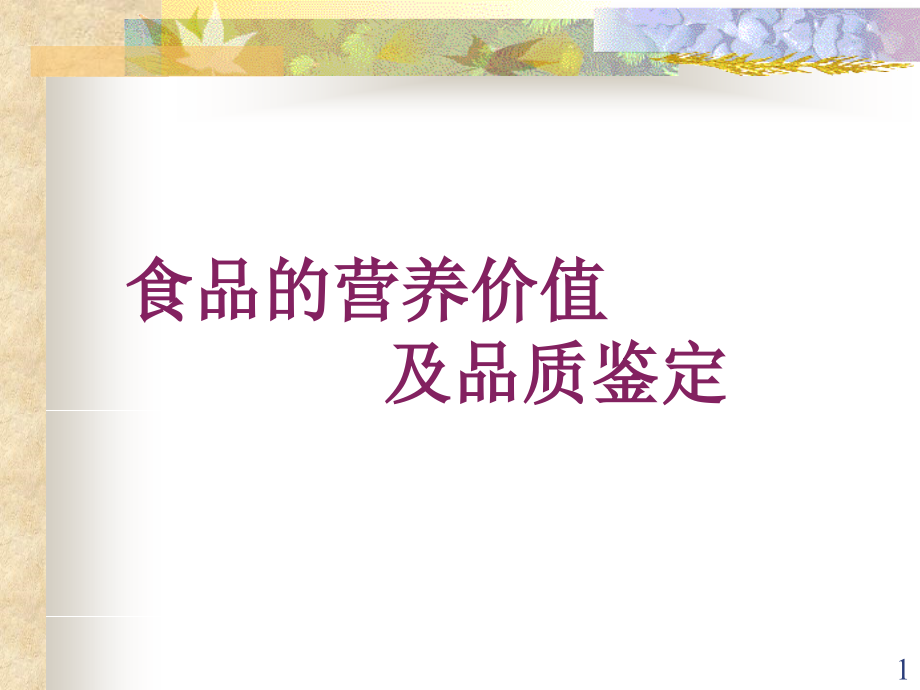 高级食品营养学PPT幻灯片.ppt_第1页