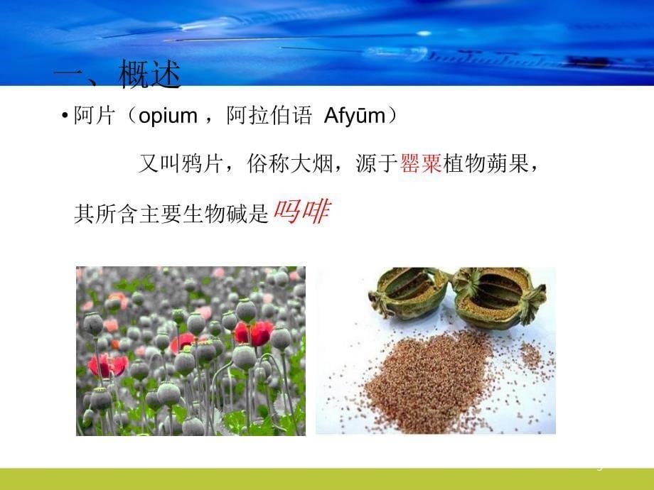 （推荐精选）阿片类镇痛药及其拮抗剂.ppt_第5页