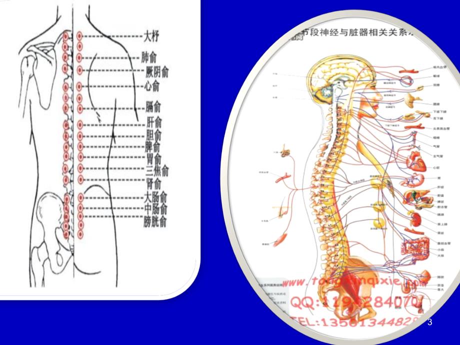 脊柱整脊方法PPT幻灯片.ppt_第3页