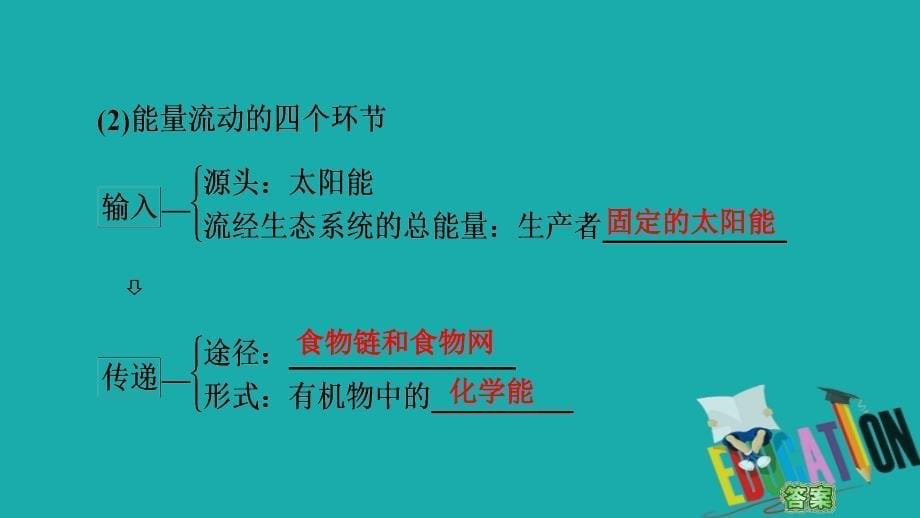 2021高三生物人教版一轮复习课件：必修3 第9单元 第4讲　生态系统的能量流动和物质循环_第5页