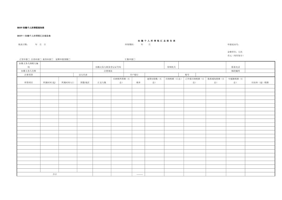 （税务规划）SB扣缴个人所得税报告表_第1页