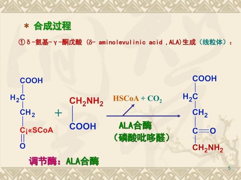 （推荐精选）血红蛋白代谢.ppt_第5页