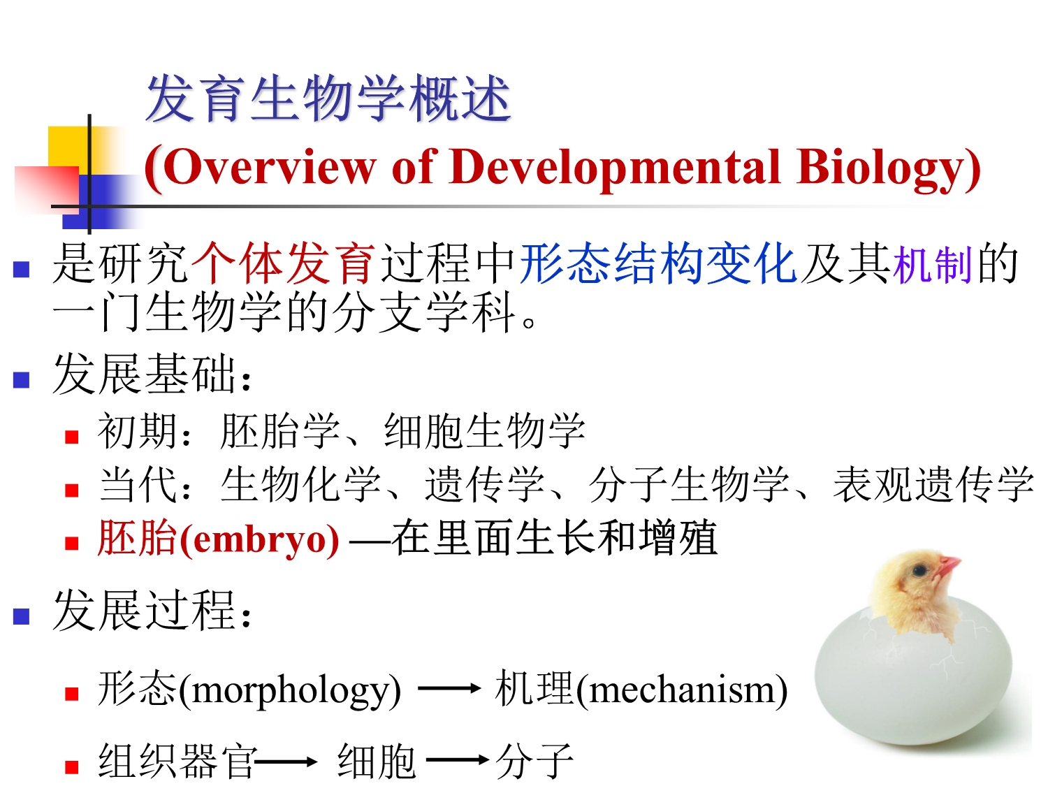 发育生物学—原生殖细胞的起源和迁移-2_第2页