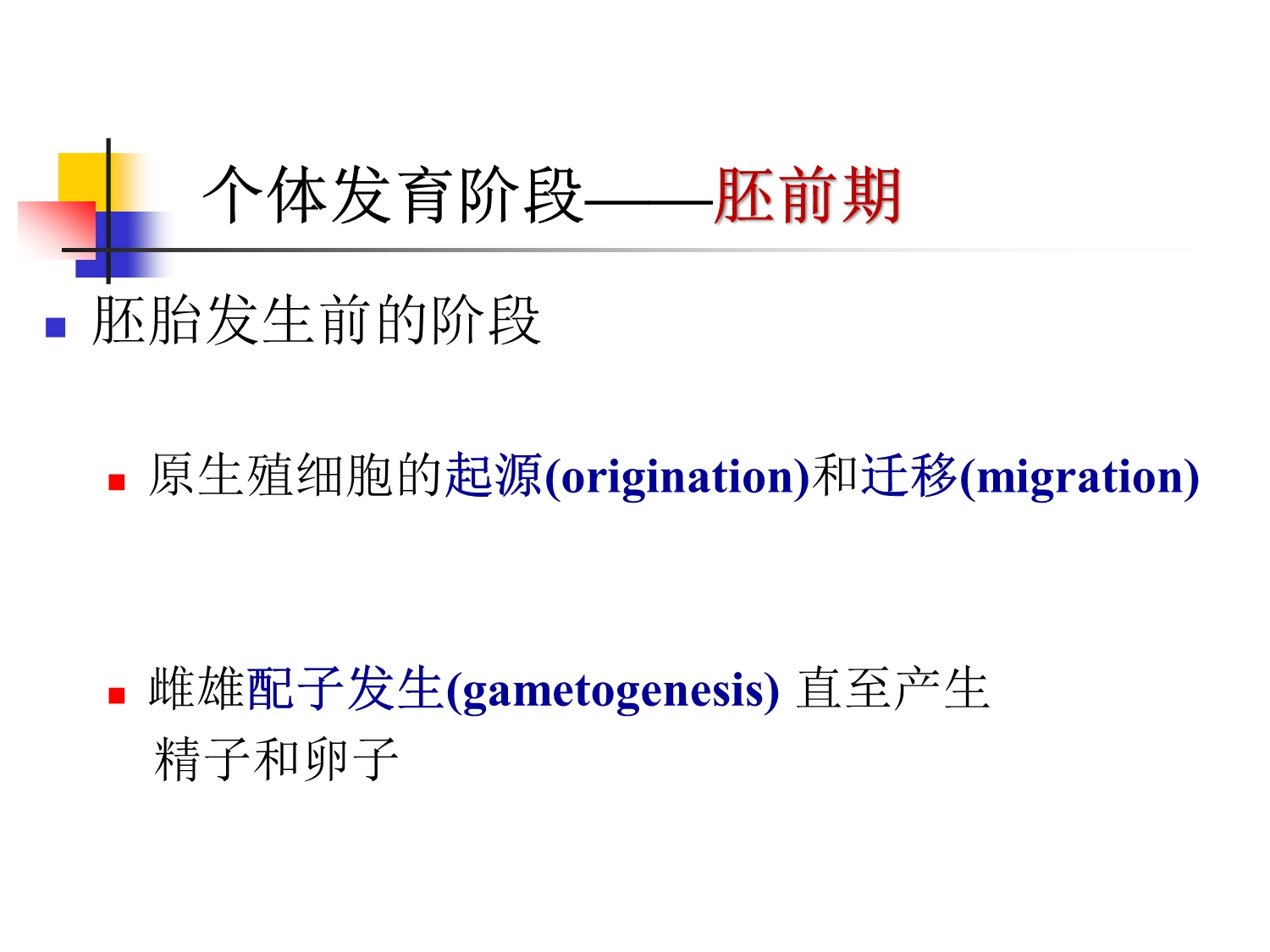 发育生物学—原生殖细胞的起源和迁移-2_第4页