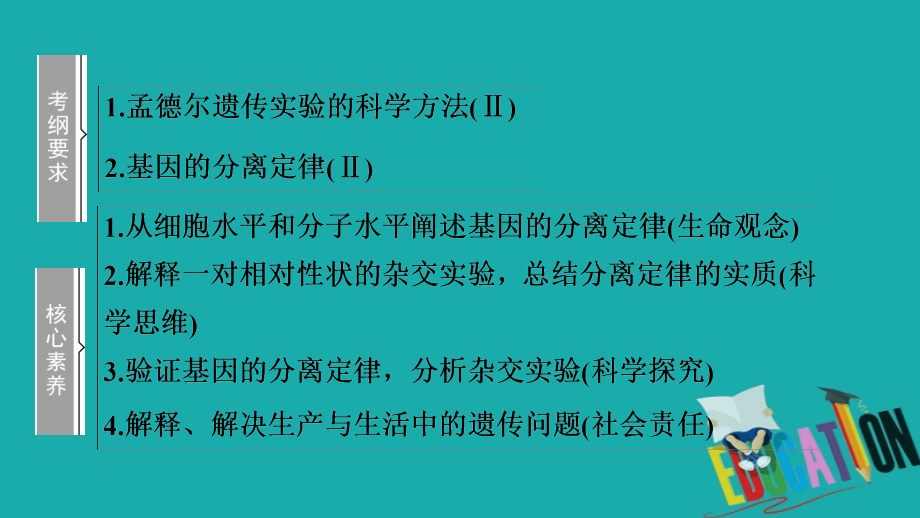 2021高三生物人教版一轮复习课件：必修2 第5单元 第1讲　孟德尔的豌豆杂交实验（一）_第2页