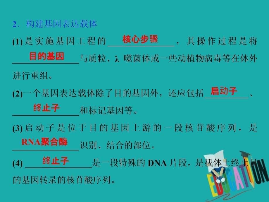 高中生物第一章基因工程第一节基因工程概述第2课时基因工程的实施过程课件苏教版选修3_第5页