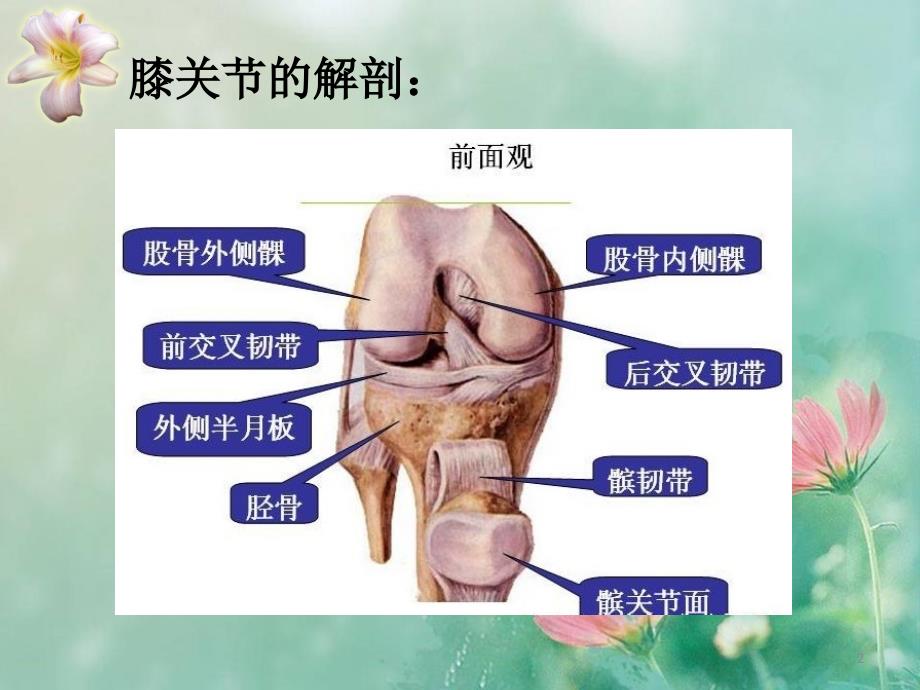 （推荐精选）膝关节置换护理查房.ppt_第2页