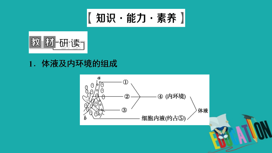 2021高三生物人教版一轮复习课件：必修3 第8单元 第1讲　人体的内环境与稳态_第4页