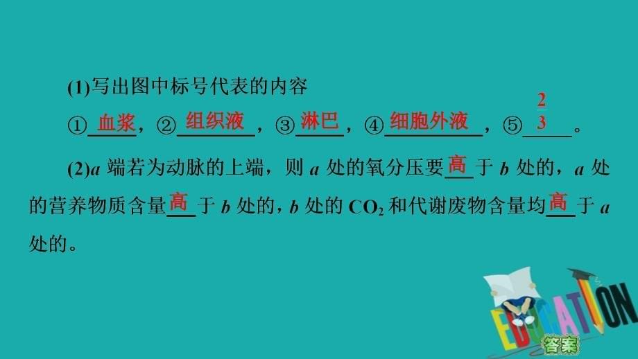 2021高三生物人教版一轮复习课件：必修3 第8单元 第1讲　人体的内环境与稳态_第5页