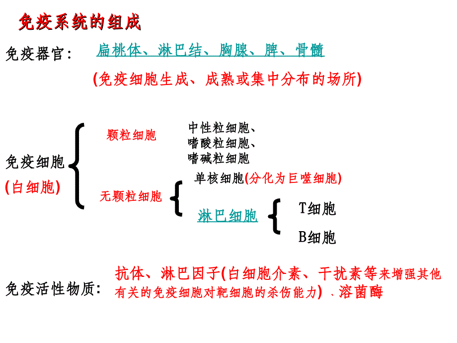 生物必修三 体液免疫细胞免疫ppt课件_第3页