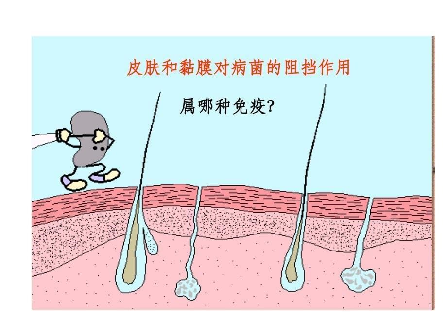 生物必修三 体液免疫细胞免疫ppt课件_第5页