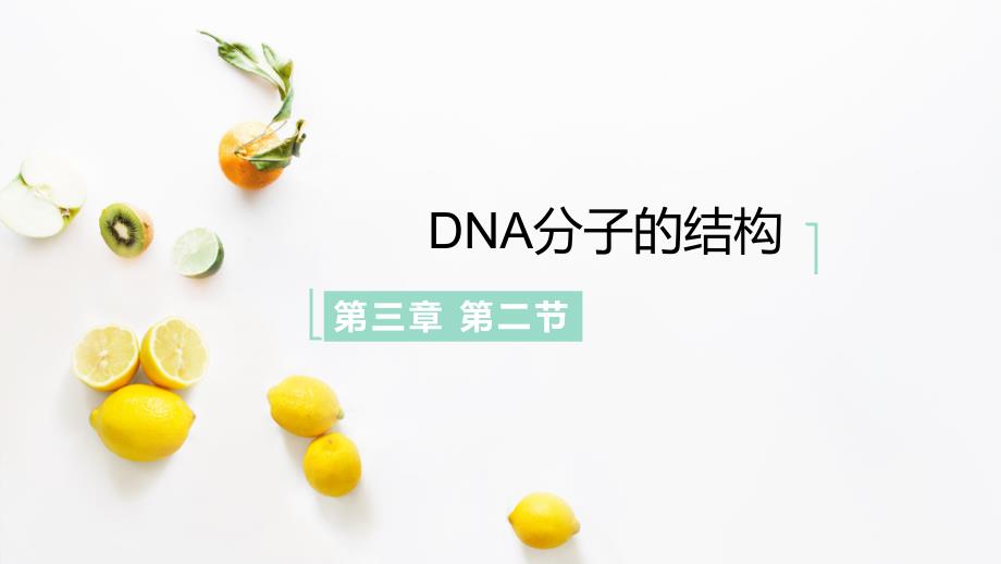 DNA分子的结构(优质课件)_第1页