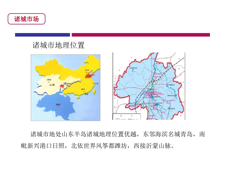 2019年最新-山东诸城项目调研定位研究93p-PPT精选文档-精选文档_第1页